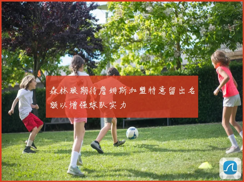 森林狼期待詹姆斯加盟特意留出名额以增强球队实力